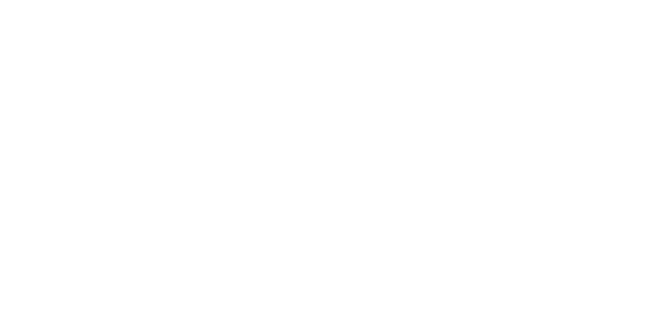 메가 벳 logo